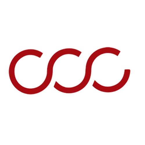 Clever Clogs Consulting